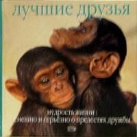Лучшие друзья. Мудрость жизни: смешно и серьезно о прелестях жизни 