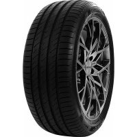 Шина Delinte DS2 215/45 R17 91W