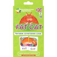 Наглядное пособие. Fat Cat. Читаем сочетания слов. Английский язык, Level 5. Набор карточек с картинками 