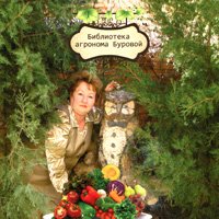 Дача-кормилица