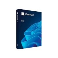 ПО Windows 11 Pro 64-bit Рус. USB (BOX) (HAV-00160) 