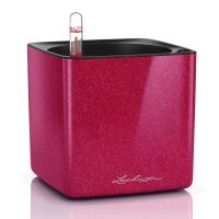 Кашпо LECHUZA CUBE Glossy с автополивом, 0.4л, 12x13.5 см, 14x14x13.5 см, вишневый блестящий 