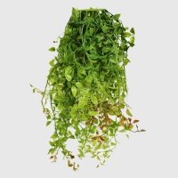 Искусственное растение Конэко-О Гирлянда с виноградными листьями 60x25 см 