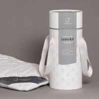 Подушка Termoloft x-static 40х60 см 