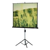 Проекционный экран Lumien LMV-100112