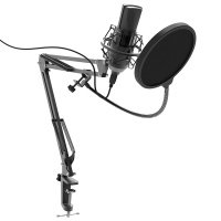 Микрофон Ritmix RDM-180