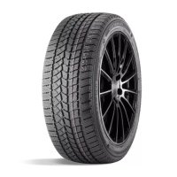 Зимняя шина DoubleStar DW02 215/55R16 93T