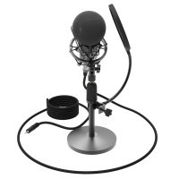 Микрофон Ritmix RDM-175