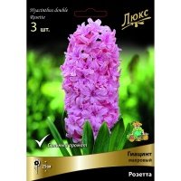 Гиацинт садовый махровый Розетта 15/16, 3 шт. 