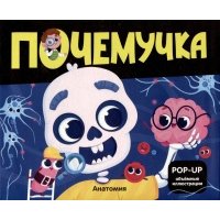 Анатомия: книжка- панорамка 