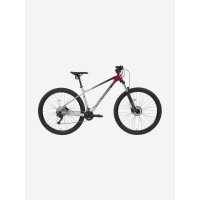 Велосипед горный Polygon Xtrada 5 29", Мультицвет 