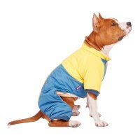 Petmax Комбинезон для собак, 3XL, голубой (унисекс) 