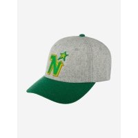 Бейсболка AMERICAN NEEDLE 21005A-MNN Minnesota North Stars Archive Legend NHL (серый), Серый