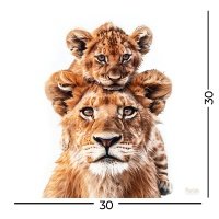 Картина Fbrush Львиная семья 30x30 см 
