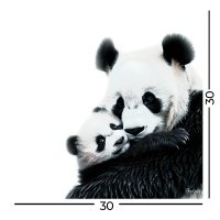 Картина Fbrush Теплые объятия панд 30x30 см 