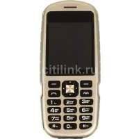 Мобильный телефон GINZZU R1D золотистый 00-00000666