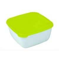 Контейнер Plast Team Polar PT9676