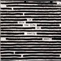 Is This The Life We Really Want? Виниловая пластинка 