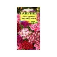 Флокс Звездный дождь друммонди Гавриш 