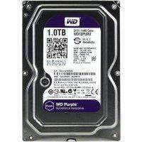 Жесткий диск WD 1TB WD10PURX (фиолетовый)