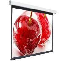 Экран для видеопроектора Digis Electra-F, 1:1, 135", 248x250, MW (DSEF-1108)