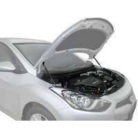 Упоры капота Автоупор Hyundai i30 II V 2011-, 2 шт. UHYI30012