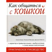 Как общаться с кошкой 
