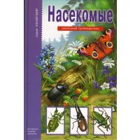 Насекомые