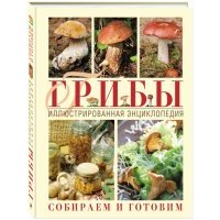 Грибы. Иллюстрированная энциклопедия. Собираем и готовим 