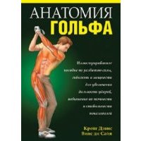 Анатомия гольфа Фитнес и физические упражнения