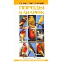 Самые популярные породы канареек