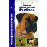 Южноафриканский бурбуль. История. Стандарт. Содержание. Разведение. Выставки 