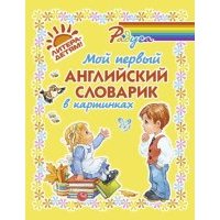 Мой первый английский словарик в картинках 