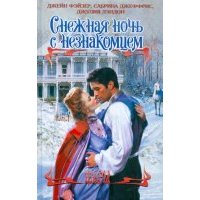 Снежная ночь с незнакомцем 