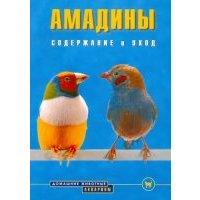 Амадины. Содержание и уход