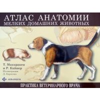 Атлас анатомии мелких домашних животных 