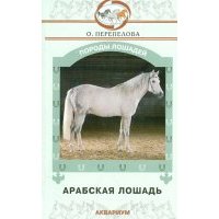 Арабская лошадь 