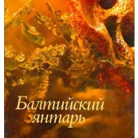 Балтийский янтарь. Альбом