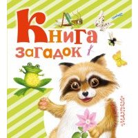 Книга загадок 