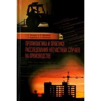 Профилактика и практика расследования несчастных случаев на производстве. Учебное пособие 