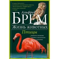 Птицы. Л-Я 