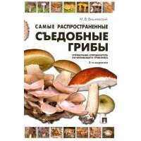 Самые распространенные съедобные грибы. Справочник-определитель начинающего грибника 