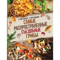 Самые распространенные съедобные грибы