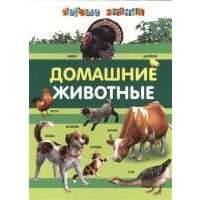 Домашние животные