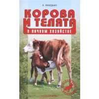 Корова и телята в личном хозяйстве. Выбор породы, содержание, разведение и профилактика заболеваний 