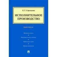 Исполнительное производство: практикум 