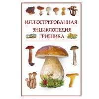 Иллюстрированная энциклопедия грибника.