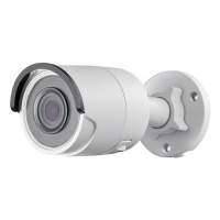 Видеокамера IP HIKVISION DS-2CD2043G0-I, 8 мм, белый DS-2CD2043G0-I (8 MM)
