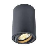 Накладной светильник Arte Lamp Sentry A1560PL-1BK