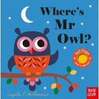 Where's Mr Owl? 